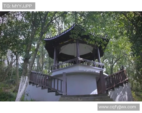 余姚明圆的文化传承与现代创新探索之旅