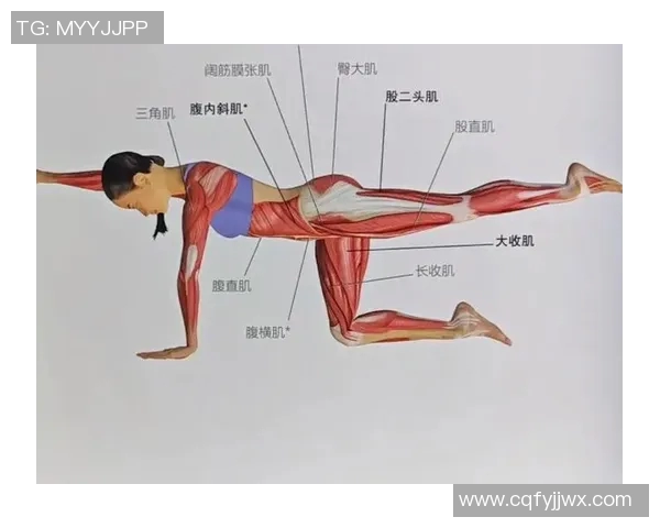 小哑铃助力核心力量训练提升全身稳定性与运动表现的有效方法
