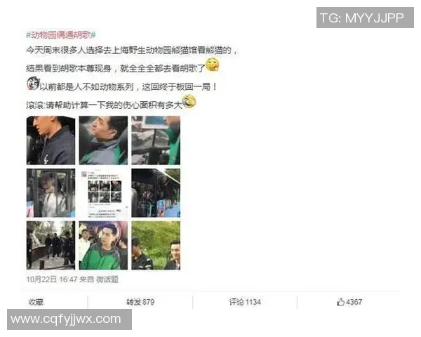 在篮球场上与明星偶遇的奇妙时刻与难忘回忆 在篮球场上与明星偶遇的奇妙时刻与难忘回忆